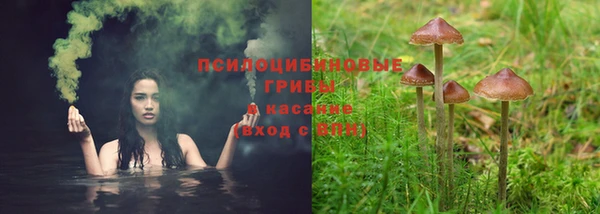 шишки Абдулино