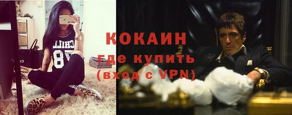 шишки Абдулино