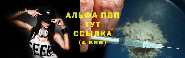 apvp Алзамай