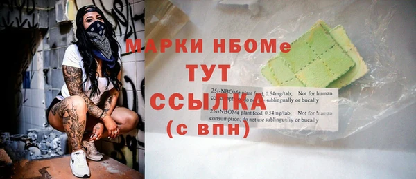 apvp Алзамай