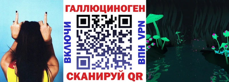 Псилоцибиновые грибы Psilocybe  Болгар 